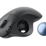 Logitech Ergo M575S мишка графит артикул 910-007029