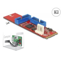 DeLock M.2 Key към 2 x USB адаптер